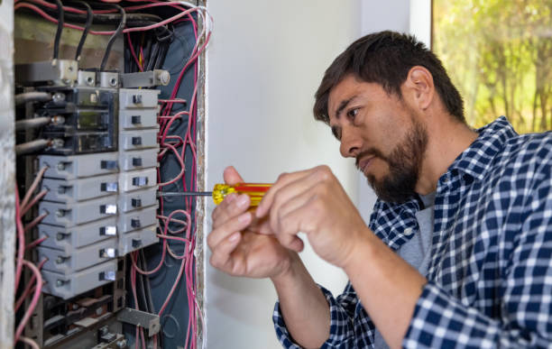 Best Electric Panel Repair  in Vienna, VA